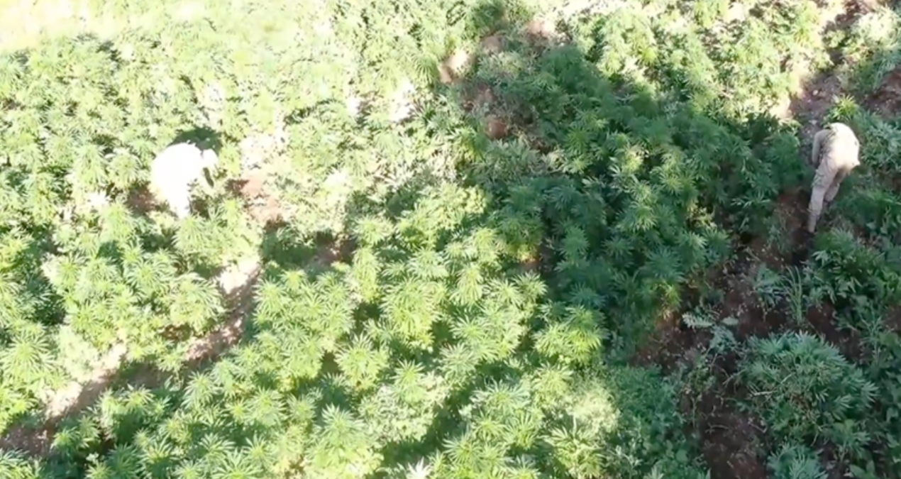 mugla aciklarindaki teknedeki 210 kilogram skunk yakalandi ij2KuxKt