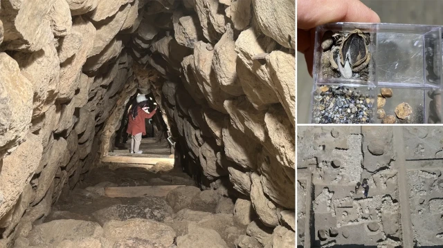 Nerik’te bulundu: Üç bin 500 yıllık fındık fosili