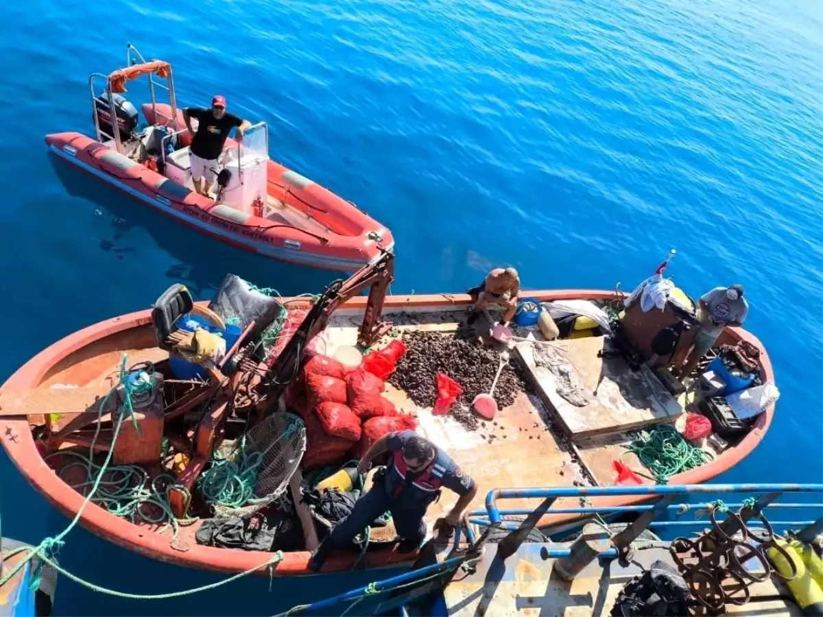 ruhsatsiz gemiyle avciliga ceza zzSVyBb3