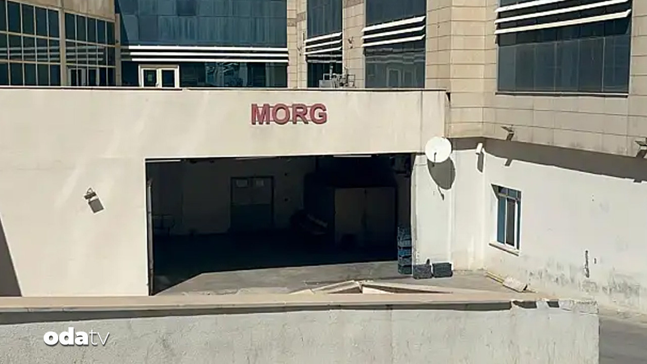 siirtte aci olay meyve toplamak isterken canindan oldu ShrUTXXA