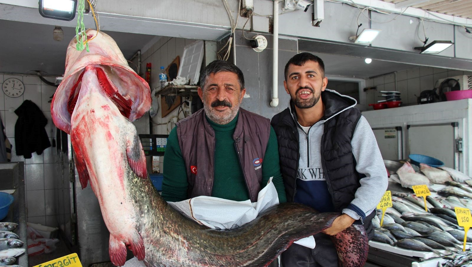 kilosu 250 liradan satisa sunuldu tam 85 kilogram agirliginda cemF6fIq