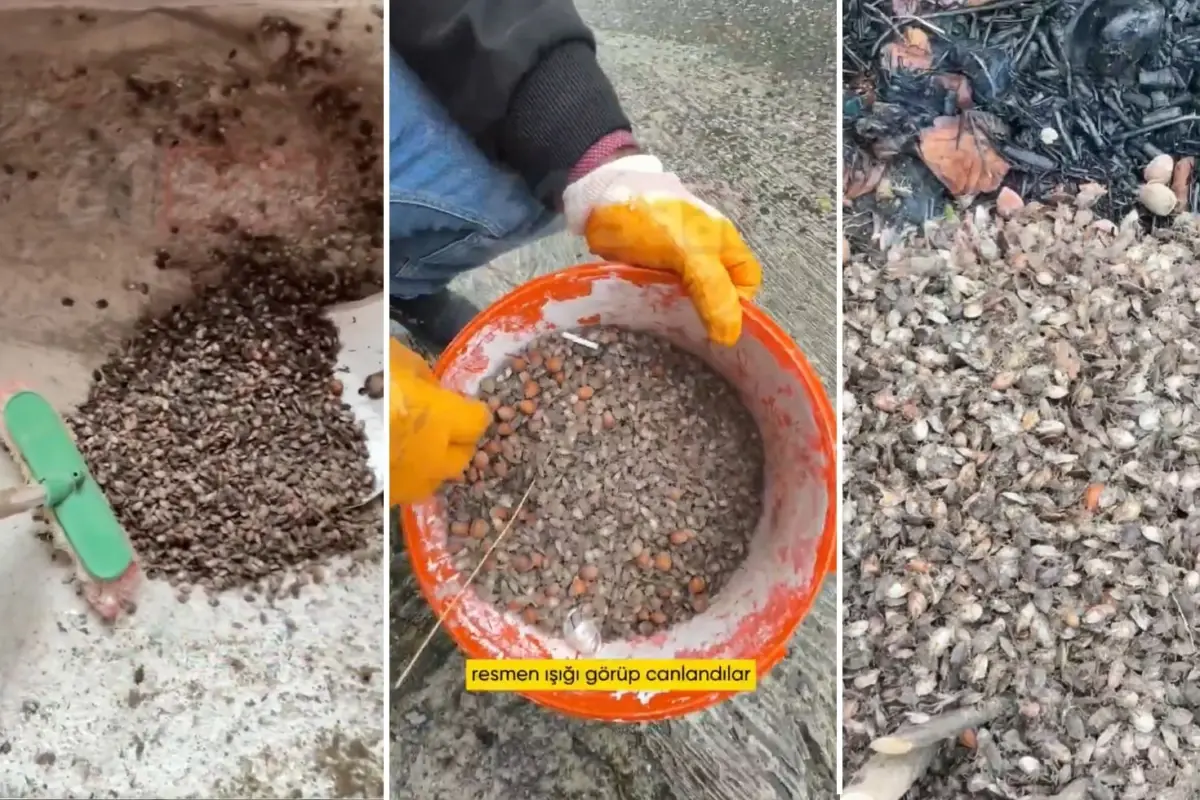 turkiyenin oteki gundemi son virajdayiz diyen vatandastan endiselendiren sozler Xcpf58C7.jpg