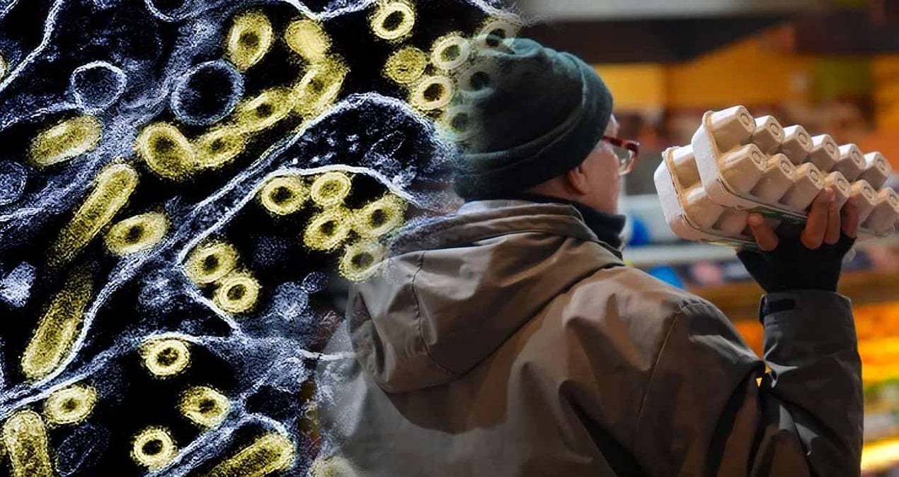 2026 yılına girerken tablo, beş yıl öncesinden çok daha karanlık! Sıradaki durak insanlar mı?