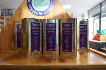 Yeni Hasat Dorlion Zeytinyağı '2026 Eskişehir Yılı' Etiketiyle Raflarda